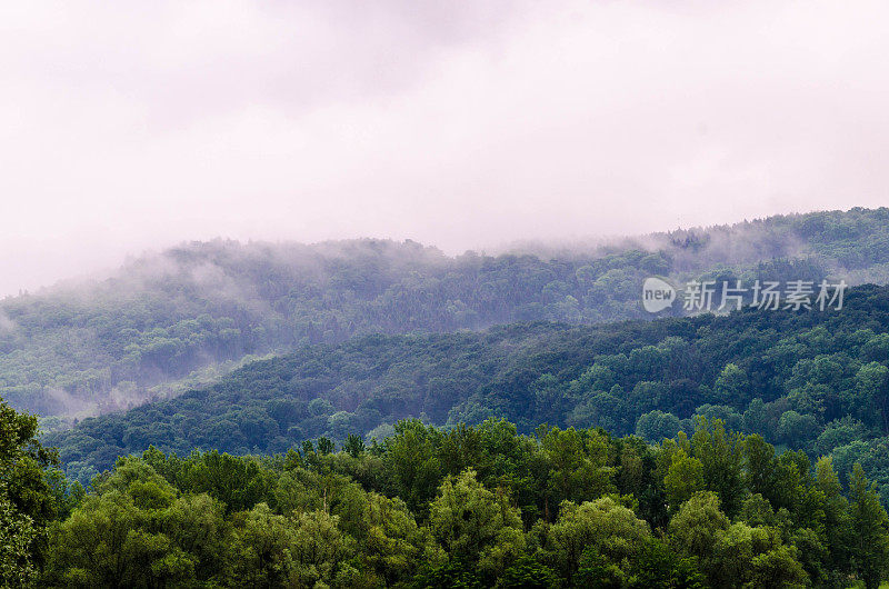 Plesching湖- Pleschingersee Linz